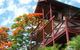 Maleny Tropical Retreat - thumb 1