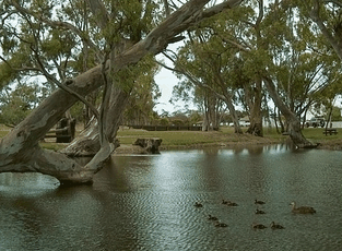 Bordertown Abode Parkland Motel - Accommodation Gold Coast 2