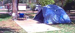 Wintersun Caravan Park - Accommodation Gold Coast 3