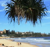 Mariners Caloundra - Accommodation Gold Coast
