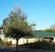 Riverland Motor Inn - Accommodation Gold Coast
