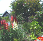 Hopfield Country Cottages - Accommodation Gold Coast