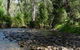 River Rest Country Cottage - thumb 0