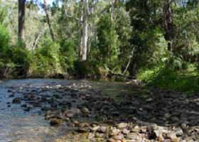 River Rest Country Cottage - Accommodation Gold Coast 0