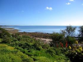 Istana - Accommodation Gold Coast 0