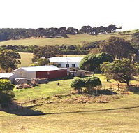 Sun Valley Eco Farm - Accommodation Gold Coast