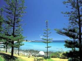 The Beach House - Accommodation Gold Coast 0