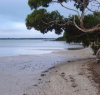 Stanley Lakeside Spa Cabins - Accommodation Gold Coast