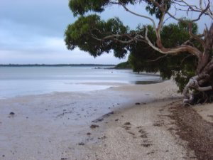 Stanley Lakeside Spa Cabins - Accommodation Gold Coast 0