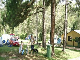 Glasshouse Mountains Holiday Village - Accommodation Gold Coast 0