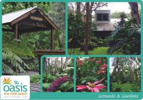 The Oasis At One Mile Beach - Accommodation Gold Coast 0