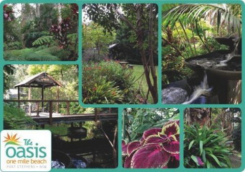 The Oasis At One Mile Beach - Accommodation Gold Coast 2