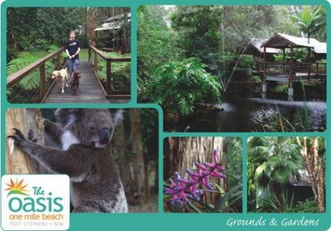 The Oasis At One Mile Beach - Accommodation Gold Coast 3