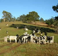 St Columba Cottage - Accommodation Gold Coast