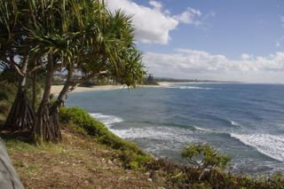 Moffat Beach Pet Friendly Holiday House - Accommodation Gold Coast 9