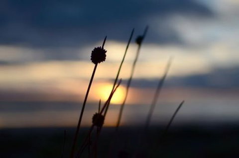 Dune Hideaway - Accommodation Gold Coast 8