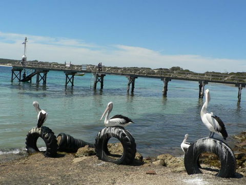 Fareview Beach House - Accommodation Gold Coast 3