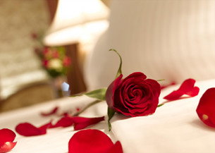 Springs Creek - Accommodation Gold Coast 2