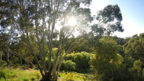 Springs Creek - Accommodation Gold Coast 4