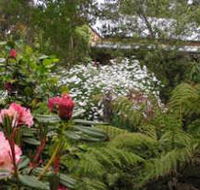 Lorne Lemonade Creek Cottages - Accommodation Gold Coast