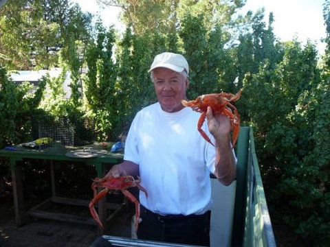 Cowell Foreshore Caravan Park & Holiday Units - Accommodation Gold Coast 4