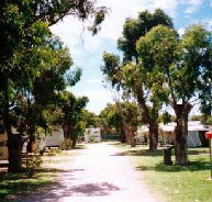 Bathers Paradise Caravan Park - Accommodation Gold Coast