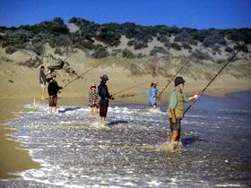 Flippers Beachouse - Accommodation Gold Coast 0