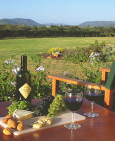 Tranquil Vale Vineyard Cottages - Accommodation Gold Coast 0