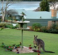 Gipsy Point Lakeside - Accommodation Gold Coast