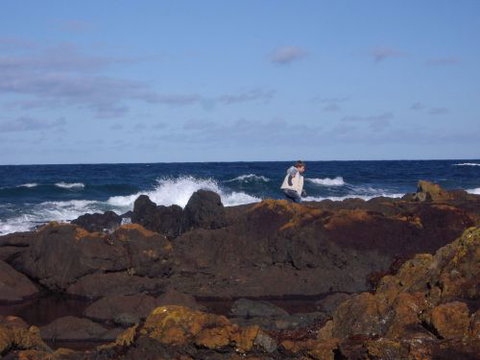 Walkerville South Accommodation - Accommodation Gold Coast 1