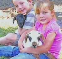 Mansfield Park - Accommodation Gold Coast