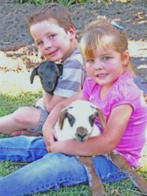 Sarina Motor Inn - Accommodation Gold Coast 0