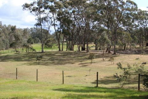 Donkey Tales Farm Cottages - Accommodation Gold Coast 6
