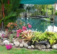 Daintree Wild Bed And Breakfast - Gold Coast 4U