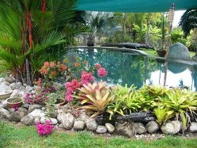 Daintree Wild Bed And Breakfast - Accommodation Gold Coast 0