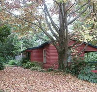Turkeys Nest Rainforest Cottage - Accommodation Gold Coast