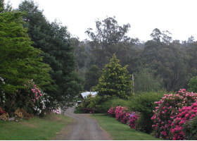 Mountain Rivers Lodge - Accommodation Gold Coast 0