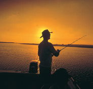 Point Stuart Wilderness Lodge - Accommodation Gold Coast