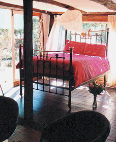 Lazy Curl - Accommodation Gold Coast 0