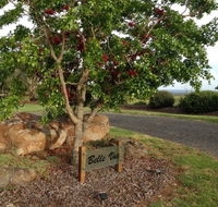 Belle Vue Studio - Accommodation Gold Coast