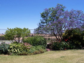 Chuckem Farm - Accommodation Gold Coast 0