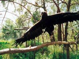 Ashton SA Accommodation Gold Coast
