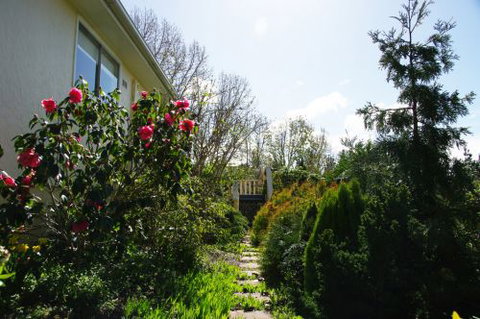 Yooringa - Accommodation Gold Coast 6