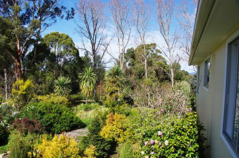 Yooringa - Accommodation Gold Coast 9