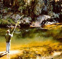 Markdale Homestead - Accommodation Gold Coast