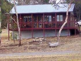 Ivybrook Vineyard Cottage - Accommodation Gold Coast 0