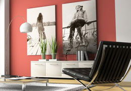 A Good Sort - Accommodation Gold Coast 3