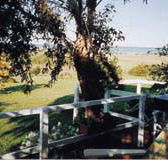 Kidogo Cottage - Accommodation Gold Coast