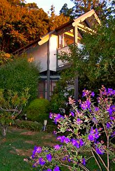 Annie Roe's Luxury Bed & Breakfast - Accommodation Gold Coast 4