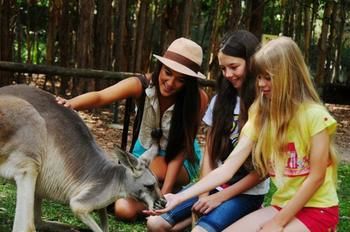 Pacific Horizons Resort - Accommodation Gold Coast 23